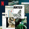 زیرنویس فارسی Dont F**k with Cats Hunting an Internet Killer
